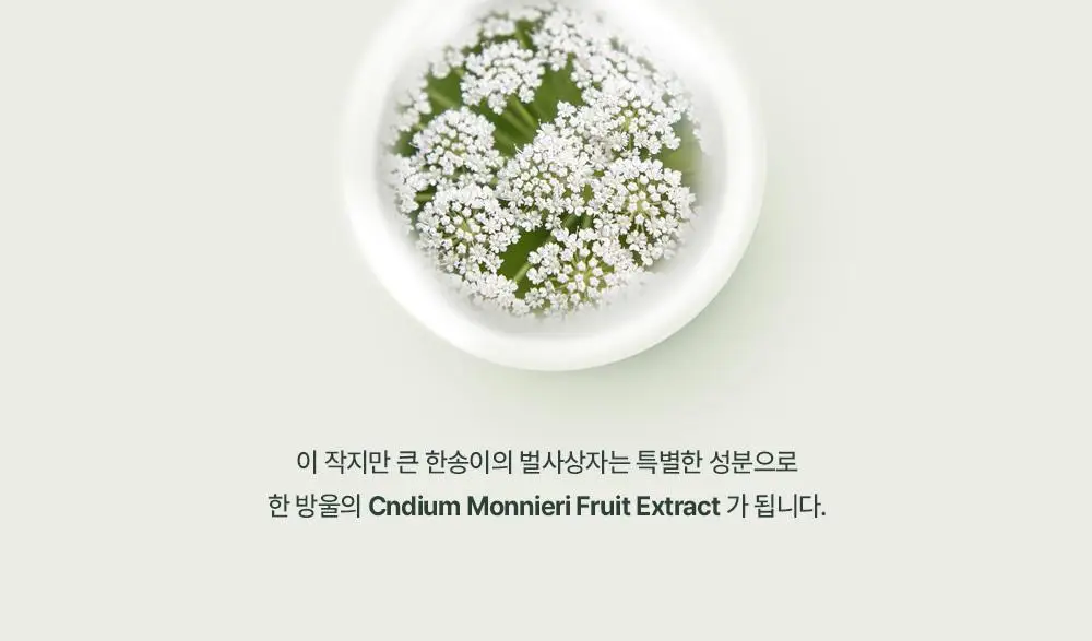 [청결티슈]이너생각 밸런싱 페미닌 클렌징 티슈 15매입 상세페이지 15